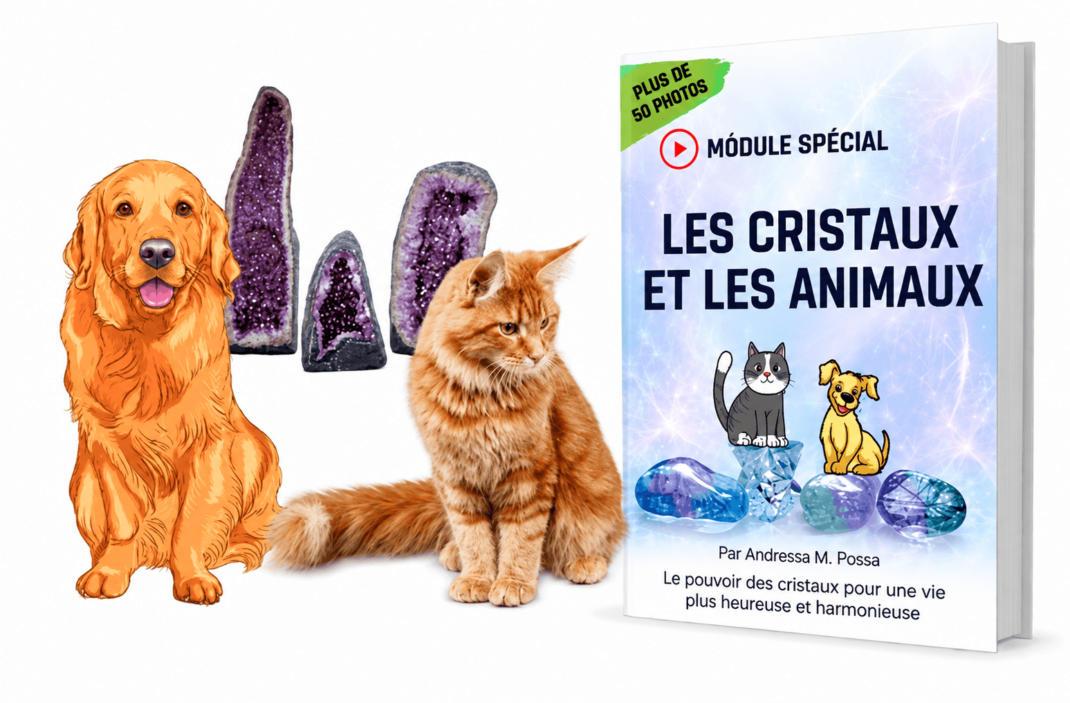 Bonus Les Cristaux et les Animaux